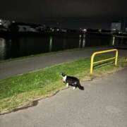 ヒメ日記 2025/10/21 12:02 投稿 はるか マリン土浦本店