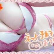 ヒメ日記 2025/10/18 12:01 投稿 つぐみ マダムの品格