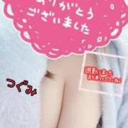 ヒメ日記 2025/10/22 23:12 投稿 つぐみ マダムの品格