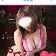 ヒメ日記 2025/11/02 07:01 投稿 つぐみ マダムの品格