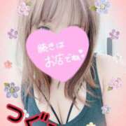 ヒメ日記 2025/11/12 17:46 投稿 つぐみ マダムの品格