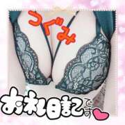 ヒメ日記 2025/11/12 17:25 投稿 つぐみ マダムの品格