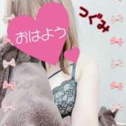 ヒメ日記 2025/11/15 12:20 投稿 つぐみ マダムの品格