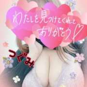 ヒメ日記 2025/11/17 16:42 投稿 つぐみ マダムの品格