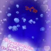 ヒメ日記 2025/11/17 23:17 投稿 つぐみ マダムの品格