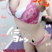 ヒメ日記 2025/11/21 14:18 投稿 つぐみ マダムの品格