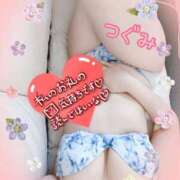 ヒメ日記 2025/11/25 00:33 投稿 つぐみ マダムの品格