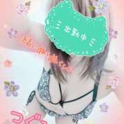 ヒメ日記 2025/11/29 21:09 投稿 つぐみ マダムの品格