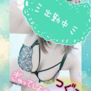 ヒメ日記 2025/12/02 19:55 投稿 つぐみ マダムの品格