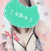 ヒメ日記 2025/12/05 22:09 投稿 つぐみ マダムの品格