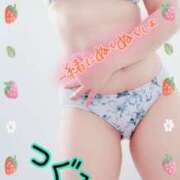 ヒメ日記 2025/12/15 18:58 投稿 つぐみ マダムの品格