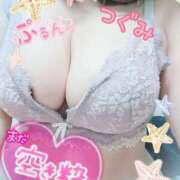 ヒメ日記 2025/12/31 13:21 投稿 つぐみ マダムの品格