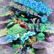 ヒメ日記 2026/01/16 01:30 投稿 つぐみ マダムの品格