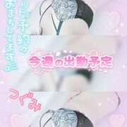 ヒメ日記 2026/01/24 19:02 投稿 つぐみ マダムの品格