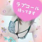 ヒメ日記 2026/02/04 14:02 投稿 つぐみ マダムの品格