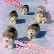 ヒメ日記 2026/02/25 13:00 投稿 つぐみ マダムの品格