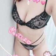 ヒメ日記 2026/03/25 15:05 投稿 つぐみ マダムの品格