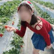 ヒメ日記 2026/03/28 21:14 投稿 にゃん ぐらどるえっぐ