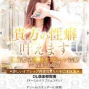 ヒメ日記 2025/11/29 12:01 投稿 はずき OL倶楽部周南