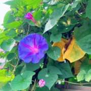 ヒメ日記 2025/10/29 13:43 投稿 聖　けい 八王子だョ！変態集合