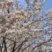 まい 🌸 かりんとplus　上野御徒町