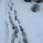 ヒメ日記 2026/01/04 12:21 投稿 のぞみ KIREI（五反田）