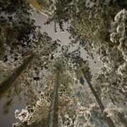 ヒメ日記 2026/01/05 12:30 投稿 のぞみ KIREI（五反田）