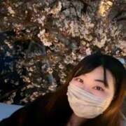 ヒメ日記 2026/03/29 12:45 投稿 のぞみ KIREI（五反田）