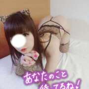 ヒメ日記 2025/11/28 15:45 投稿 みつ 柏人妻花壇