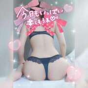 ヒメ日記 2025/12/30 14:42 投稿 みつ 柏人妻花壇