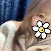 ヒメ日記 2025/12/17 20:34 投稿 もも スッキリ！！日本橋店