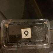 ヒメ日記 2025/12/21 18:01 投稿 もも スッキリ！！日本橋店