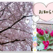 ヒメ日記 2026/04/07 16:34 投稿 北川みく YESグループ水戸　華女