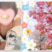 北川みく ☘️お礼日記 YESグループ水戸　華女