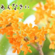 ヒメ日記 2026/09/17 19:49 投稿 北川みく YESグループ水戸　華女