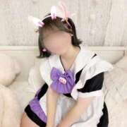 ヒメ日記 2025/12/23 21:39 投稿 こま LEVEL1