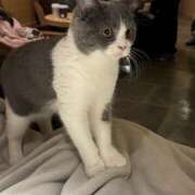 ヒメ日記 2025/10/26 10:48 投稿 ゆり 神田はっち