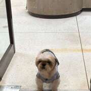 ヒメ日記 2025/10/27 23:05 投稿 ゆり 神田はっち