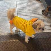 ヒメ日記 2025/11/06 14:46 投稿 ゆり 神田はっち