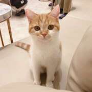 ヒメ日記 2025/11/10 06:16 投稿 ゆり 神田はっち