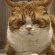 ヒメ日記 2025/11/15 09:56 投稿 ゆり 神田はっち