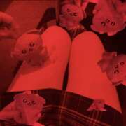 ヒメ日記 2025/11/16 16:20 投稿 ゆり 神田はっち