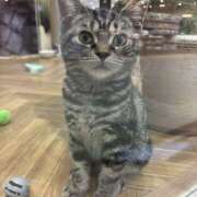 ヒメ日記 2025/11/18 11:28 投稿 ゆり 神田はっち