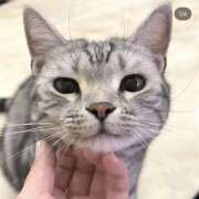 ヒメ日記 2025/12/12 01:32 投稿 ゆり 神田はっち