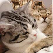 ヒメ日記 2026/01/03 19:12 投稿 ゆり 神田はっち