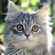 ヒメ日記 2026/01/15 17:44 投稿 ゆり 神田はっち