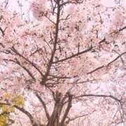 ヒメ日記 2026/03/27 10:05 投稿 つき 待ちナビ