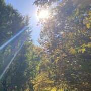 菊池夏歩 おはようございます 五十路マダムエクスプレス横浜店（カサブランカグループ）