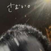 ヒメ日記 2026/02/08 16:40 投稿 さん スピードエコ天王寺店