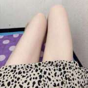 しおん お久しぶりです ディアクイーンズ